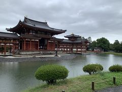 自宅を出たときはすでに雨が上がり、晴れ間すらでていましたが、宇治に近づくにつれだんだんと雨が激しくなってきました。

平等院南側の民間の「宇治駐車場」というところに車を停めて南門から入りました。
あまりにも雨が激しいので、先に入ってすぐの鳳翔館（博物館）の方に入ろうと思ったのですが、入り口は池の周りをぐるっと回った後にあるらしい…。JR等の駅から歩いてきた人は表門から入るので、自然とそのルートになるんですけどね。

うーん、どうしよう…と思案していたところ
ここでスタッフが神対応！特別に、本来ははいれないところから鳳翔館の中に入れてくださいました。でないと入館前までわざわざ遠回りして、雨でびしょ濡れになっていたことでしょう。助かりました。ここのスタッフは他の方たちもみなとても感じが良かったです。


中は写真不可なので写真ありません。雲中供養菩薩像とか、興味深い見所沢山あったのですが。

見学のあと少し雨はましになっていたのですが、傘を差しての観光はやはり難儀です。よって写真がほとんど無い。

制服姿の学生さんグループもいました。人数からいって修学旅行ではないと思うのですが。

それにしても、平等院鳳凰堂ってこじんまりしてる…。
