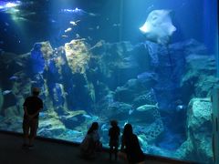 男鹿水族館GAOに入館。