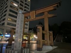 午後7時過ぎですが、二荒山神社もすでに閉まっていて、中に入れませんでした。