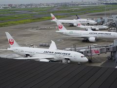 ●ガリバーズデッキから＠羽田空港第一ターミナル

本日お世話になったJAL。
久しぶりにちゃんと見ると、めちゃくちゃシンプルな機体ですね（笑）。