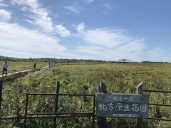 次に向かったのは北方原生花園です。
さすがに初夏のような百花爛漫とはいきませんが、それでも良く見ると初秋の花々とともにハマナスの果実なども目にすることができました。