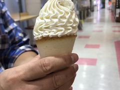 帰りに寄った鮎沢PAでクレミアソフトクリームを初めて食べてみました！
１つ５００円なので、夫と二人で食べたらちょうど地域共通クーポン１枚分。
どこのSAPAでも大体売っていて、とっても気になっていたけどお高いソフトクリームでなかなか手が出ませんでしたが、クーポンがあるので挑戦してみました！
結果、アイスクリームはとっても美味しいのですが、コーンの代わりのラングドシャ（？）が私には甘過ぎでした(￣▽￣;)。
まぁ、またクーポンを入手することがあれば食べるかもしれませんが、自腹ならやはりご当地ソフトクリームに挑戦すると思います！