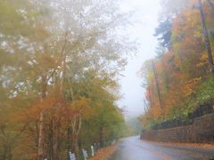 この日はあいにくの雨模様だったが、雨が残念ともいえないのが秋。

万座ハイウェイに入り嬬恋高原を過ぎたあたりから始まった木々の紅葉は、雨のおかげでその色味が増し、車窓は黄金色。
