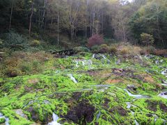 チャツボミコケ公園は山奥で場所が分かりにくいのでナビにTel番号の入力が必須：0279955111