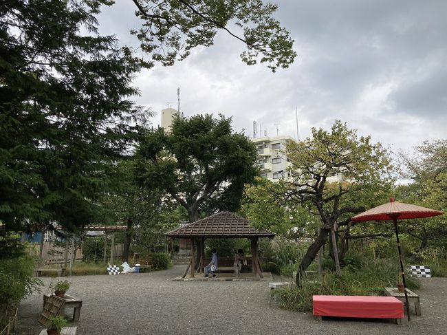 百花繚乱 向島百花園 日暮里 西日暮里 東京 の旅行記 ブログ By Siniさん フォートラベル 百花繚乱 向島百花園 日暮里 西日暮里 東京 の旅行記 ブログ By Siniさん フォートラベル