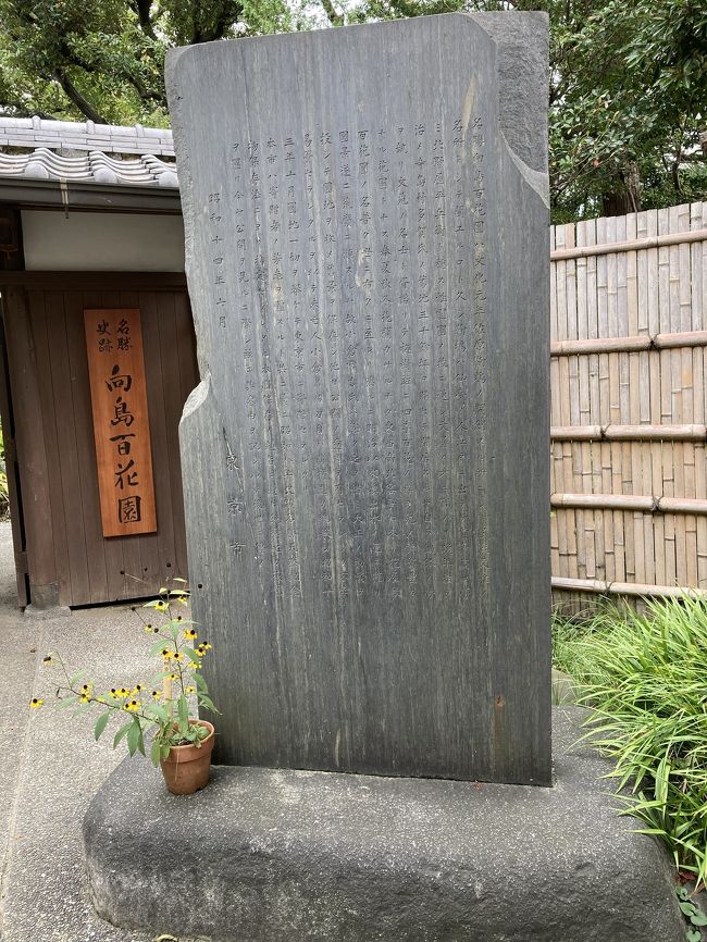 百花繚乱 向島百花園 日暮里 西日暮里 東京 の旅行記 ブログ By Siniさん フォートラベル 百花繚乱 向島百花園 日暮里 西日暮里 東京 の旅行記 ブログ By Siniさん フォートラベル