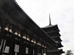 8月13日（木）　曇り時々晴れ
自転車こいでまずは興福寺

お寺の説明は皆さんご存じですので致しません。
東金堂と五重塔
この後国宝館で見学　やっぱり阿修羅像はカッコいいかも！
さすがに見ごたえあり。