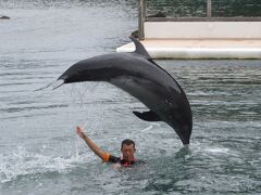 下田海中水族館