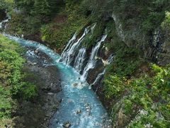 白ひげの滝に到着。

ブルーリバーと呼ばれる橋の上から眺めます。