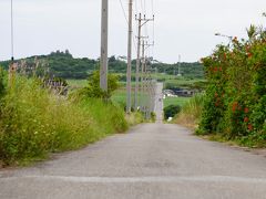 集落から海方面への道がシュガーロード。
映える場所！らしいのですよ。
ざんねん。この天気だとこれが限界。