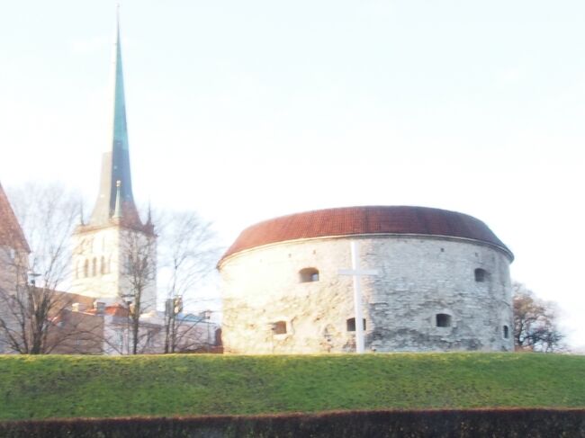 太っちょマルガレータ。<br />道路から見えます。