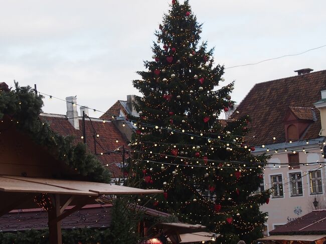 クリスマスシーズンで、夜だったらもっと綺麗だったことでしょう。