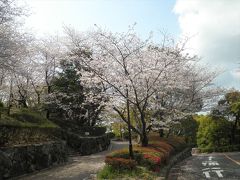 2020年４月２日、動物園に行こうと思いましたが、コロナ禍の中、次亜塩素酸水の消毒液を小さな容器に移し替えて携帯しました。
この頃は、アルコールも売り切れで、やっとのことで手に入れた次亜塩素酸水でした。

大牟田市動物園の少し下にある駐車場に車を止めます。ちょうど桜の季節でした。このあたりは「延命公園」として整備され、野球場や体育館もあります。