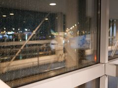 18:25
Σ(･ω･;|||ｶﾞｰﾝ
ほぼほぼ定刻（数分遅れ）で羽田に着陸したら、外は雨だった。
けっこうすごい雨
本格的だわ(*´^`*)ｺﾞｸﾘ
