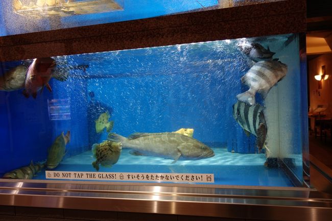 1016 福岡 宿の真向かいの水槽のお店 せいもん払いで贅沢にお魚三昧 博多 福岡県 の旅行記 ブログ By Hhbさん フォートラベル