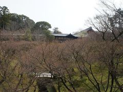 東福寺

確か共通拝観券を買って、通天橋・開山堂から先に拝観しました
この景色、新緑や紅葉シーズンは見事なんでしょうね

