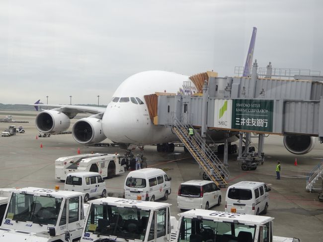 お顔がヌボっとしたA380(笑)<br />「あのー、アナタ本当に飛べるんですか？」と、つい心の中で問いかけてしまいます。<br />「実は僕、飛べるんです、でへっ」と心の中のA380クンは答えてくれました(^^;)