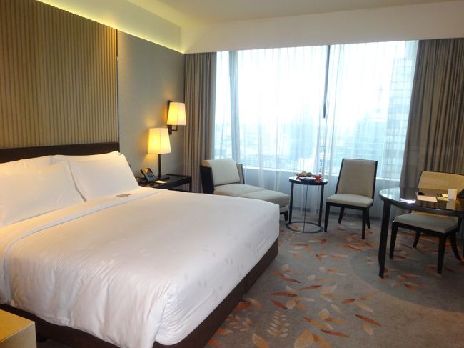 普通のスタンダードルームですが、十分な広さと落ち着くインテリアで好きです。