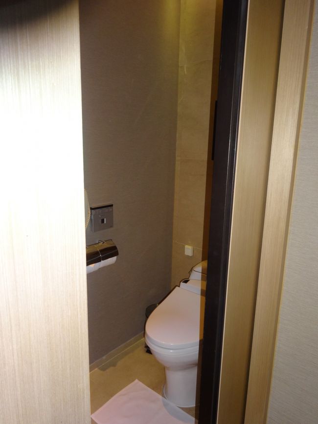 普通なおトイレ。