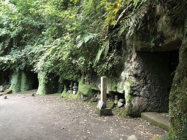 秋の鎌倉 ～浄智寺から寿福寺へ～』鎌倉(神奈川県)の旅行記・ブログ by すけさん【フォートラベル】