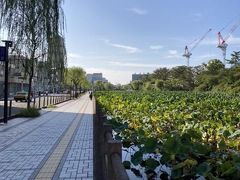 空港バスまで時間があるので、
市内散策。
久保田城址公園を目指してみます。