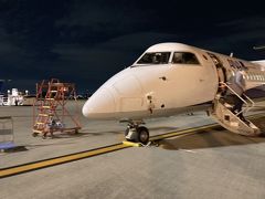 秋田空港からQ84機で伊丹空港へ。