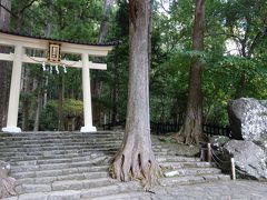 飛瀧神社

中にはいかなかったけど・・・。