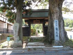 10：35　「龍光院」着。
格式高い「黒門」が重厚です。
樹齢600年の大ケヤキも聳えています。
170段ほどのゆるい階段を上ります。
