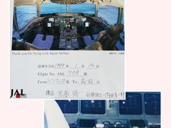 飛行機での移動