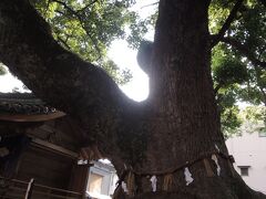 大神社 (紀ノ川市)