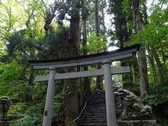 乙女の像から少し森の中に入って散策すると、そこに佇む十和田神社。
壮観です。