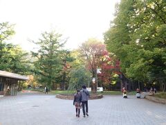 お次にやってきたのは中島公園から地下鉄でいく、円山公園。
北海道神宮を目指したいと思います！