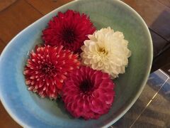 須崎旅館・・・香り豊かな花のおもてなしのお宿

郷土色豊かなお料理と野の花のおもてなしがうれしく癒されます

貸切露天風呂は大竜温泉使用の美肌の湯