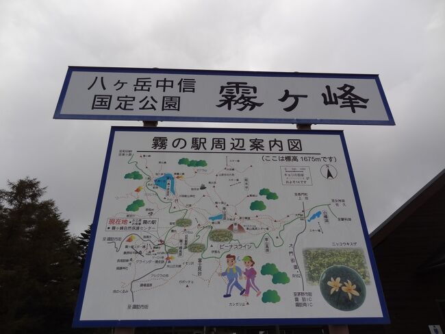 蓼科リベンジ山旅・その1.月例登山報告/霧ヶ峰(車山)』白樺湖