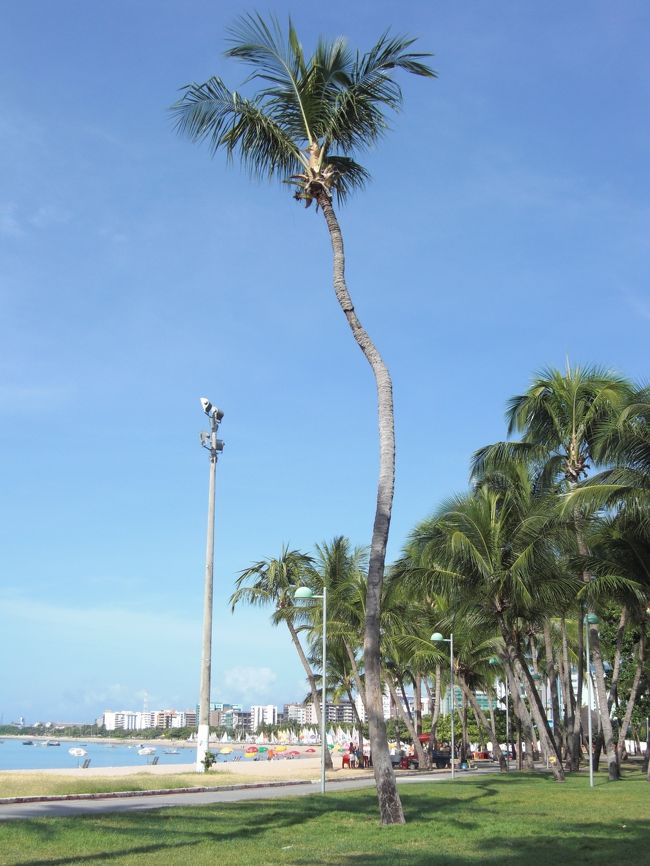 【３月２５日（水）〜２６日（木）】<br /><br />　朝から海岸を散策し、遙か向こうまで一通り歩いた。他のブラジルのリゾート都市同様、朝から海岸の遊歩道はランニングする人が行き来会う。マセイオはこれといった高級ホテルもなく全体的にのんびりした感じだ。