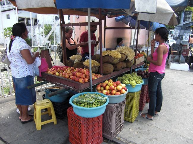 セントロへ歩いてみた。<br />　マセイオの中心部はカテドラルや教会などが並び、ショッピング街は歩行者天国になっている。しかし暑い。歩行者天国のベンチは日差しを遮るものが何もないので座ることもままならない。<br /><br />駅前のフルーツの露店。