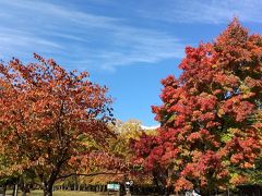 湯の湖。紅葉が綺麗です。