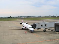 今年はじめての飛行機です。
ドキドキ…

仙台空港から広島空港に行くの久しぶりだなー。
13年ぶりか。
広島空港って山の上だからか結構揺れたんだよなぁ…
（今回は大丈夫でした）