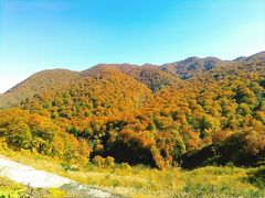 須川高原温泉に行く途中の、須川高原の様子です。

標高1626mの栗駒山の北側に広がる高原です。紅葉のシーズンは山の南側（栗原市側）が赤色中心の色づきに対して、須川高原側はカラフルに染まって見ごたえがあります。木々の形もモコモコしていて、面白いです。