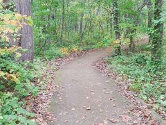 参道も荘厳な雰囲気