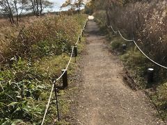 釧路湿原展望台があまりにもつまらないので、コッタロ湿原展望台を目指して走っていたのですが、途中の音根内のビジターセンターへ