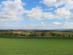 10月18日、セブンスターの木の周辺からスタート。ここはセブンスターの木の北側に広がる丘の斜面。