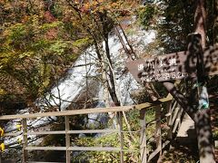 湯川歩道。
後から知ったのですが、この階段を上がれば、湯ノ湖に出られたようですね。