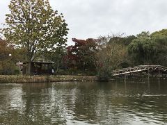 湖の周りをぐるっと歩きます。