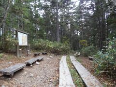 12:56
三平下から14分。
三平峠(尾瀬峠)を通過。
樹林に囲まれ、展望はありません。

この峠は分水嶺で、尾瀬沼側は日本海。
大清水側は太平洋に川の流れが注ぎます。