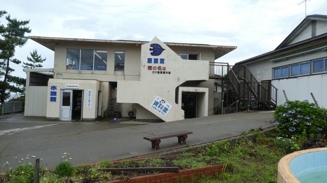 展望室と　水族館