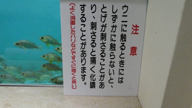 そして　注意書き……笑