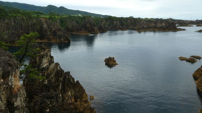 これが日本海の波が創り上げた海岸線で