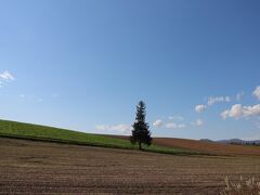 何回も食べていたのに、今頃わかるとは・・・・。そんなことを考えながらわき道へ進むと、