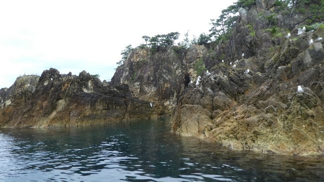 では出港<br /><br />うみねこに歓迎されて<br />いいえ　<br />餌付けされてるのです<br /><br />かっぱえびせんを餌にやるんだと<br />餌用のえびせん　船の中でも売っていた<br /><br />鳥は口に物をいれると<br />すぐに糞をするんだぞ…